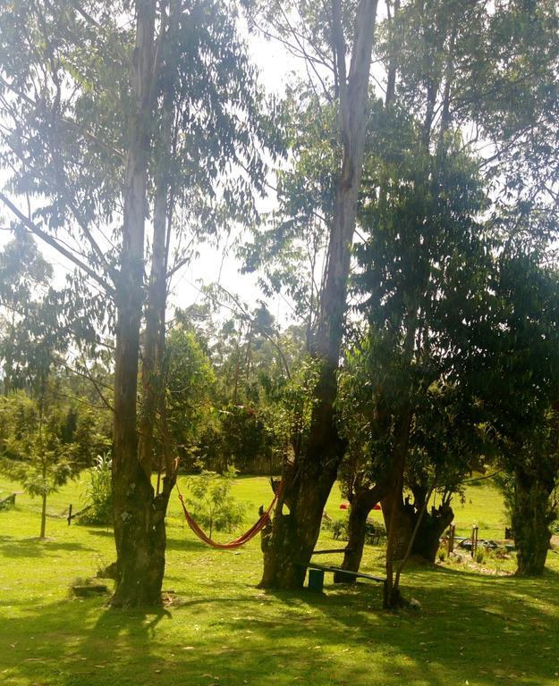 Kalitusi Nature Resort Fort Portal Exteriér fotografie